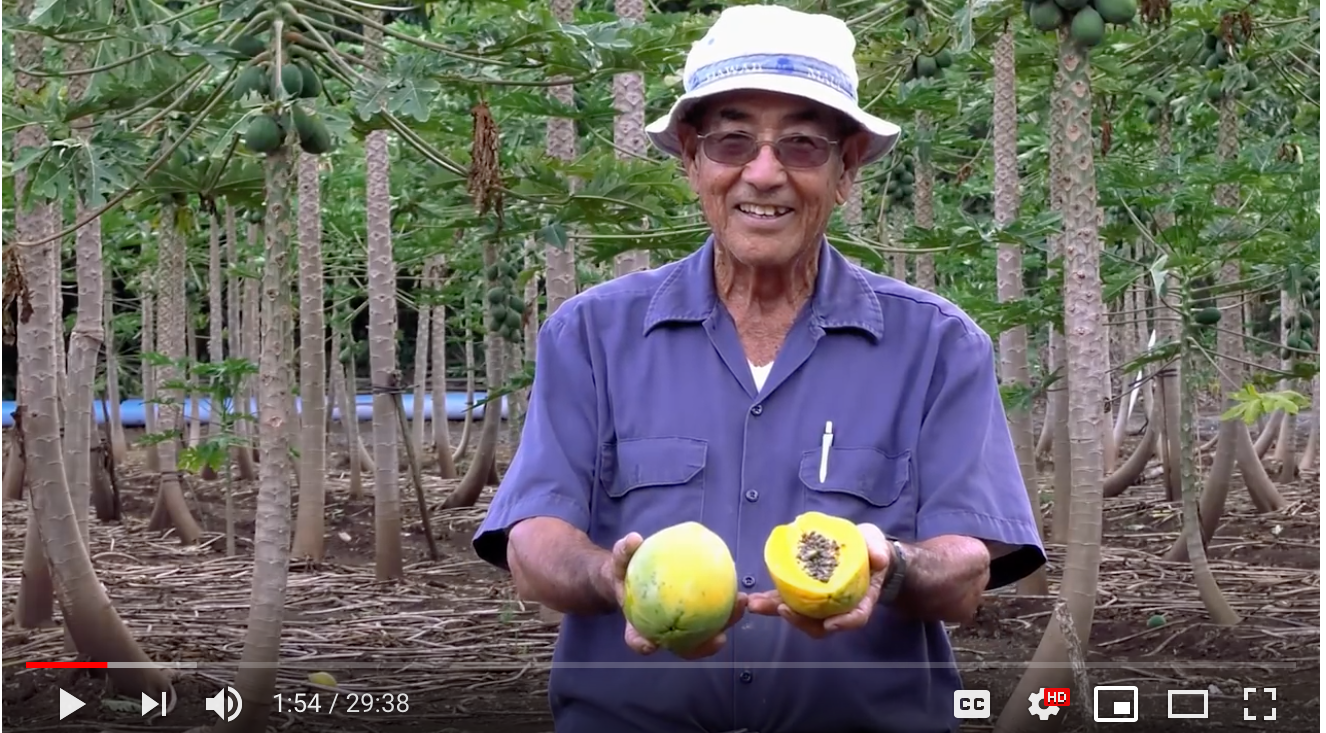 Screen Shot 2019-03-31 at 2.42.55 PM