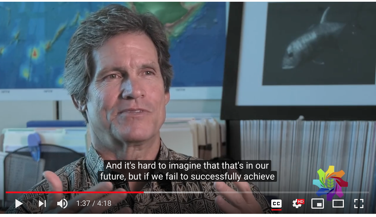 Screen Shot 2019-03-31 at 2.47.20 PM