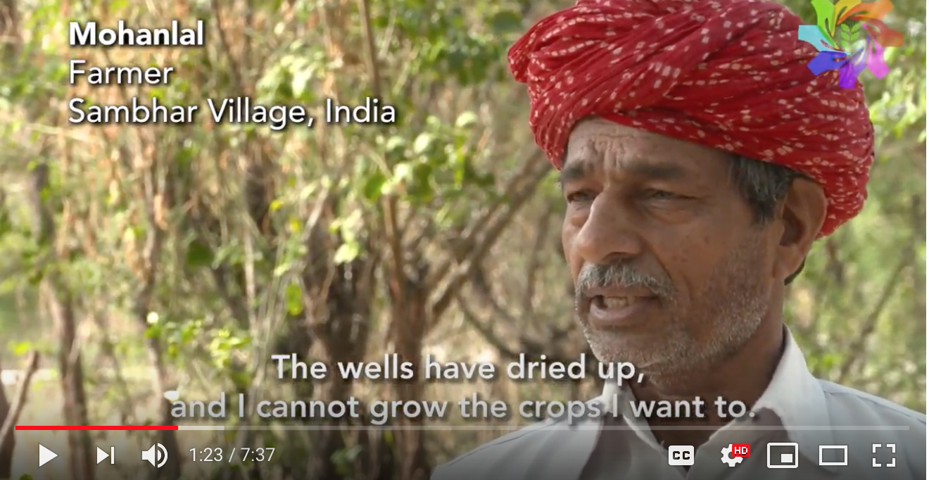 Screen Shot 2019-03-31 at 2.49.41 PM